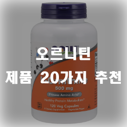  L오르니틴이 비만을 억제 시킨다고!?