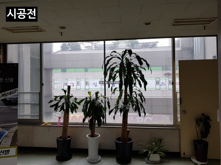  안개시트, 엣칭시트 시공 / 안산시트지시공 / 시흥시트지시공