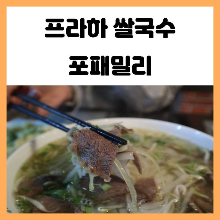 프라하 쌀국수 맛집 포패밀리 체코음식들이 질릴때 먹기 좋아요 프라하 쌀국수 맛집 포패밀리 체코음식들이 질릴때 먹기 좋아요
