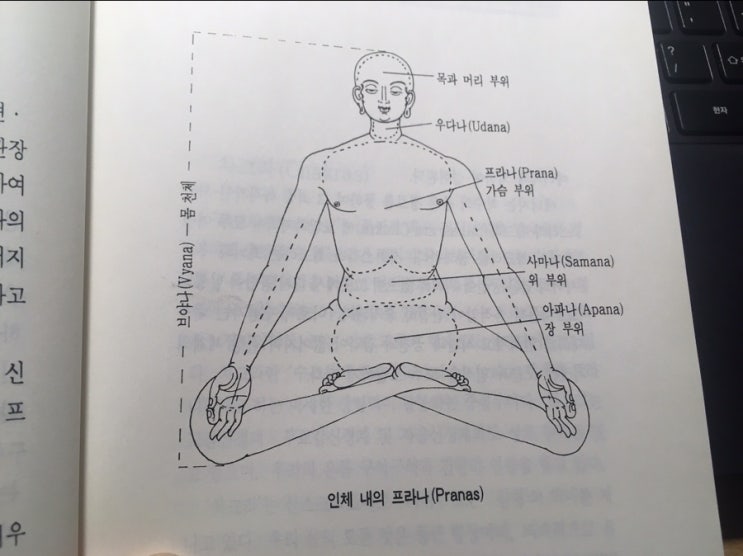  12월 제주도행. 3 여러가지 아사나를 해야하는 이유. 5바유와 빤짜프라나