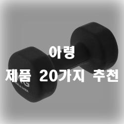  집에서도 간단한 웨이트 운동을 도와주는 아령 추천제품들입니다!
