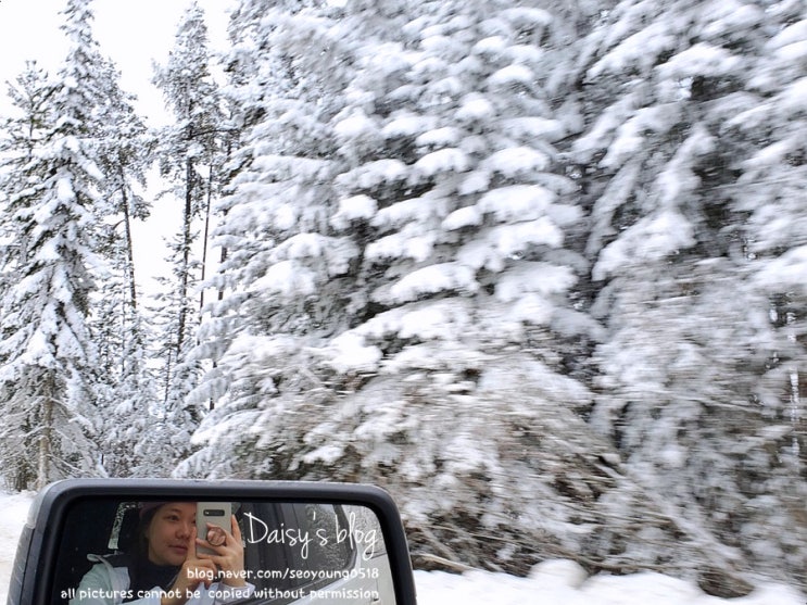 #밴쿠버 여행 - 켈로나 "빅화이트Big White Ski" 보드타러 가기