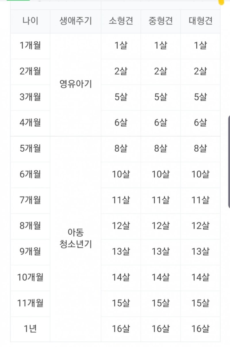 내 강아지 나이 계산해보기 : 네이버 블로그