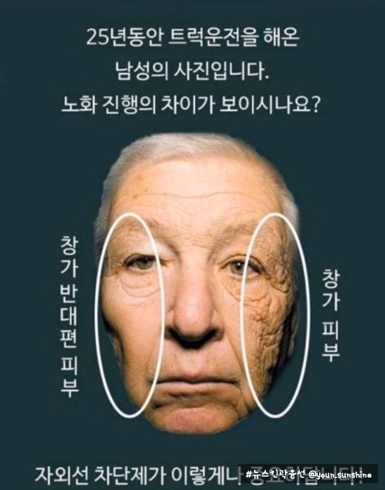  피부노화 원인, 사계절 필수템, #선크림 #선블록 고르는 기준