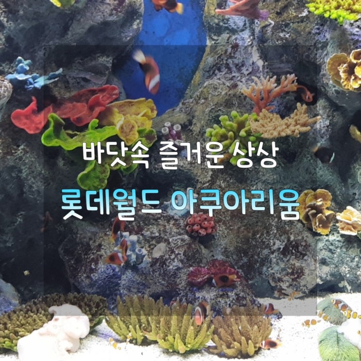  롯데월드 아쿠아리움 연간회원권으로 이용하기, vs 코엑스 비교