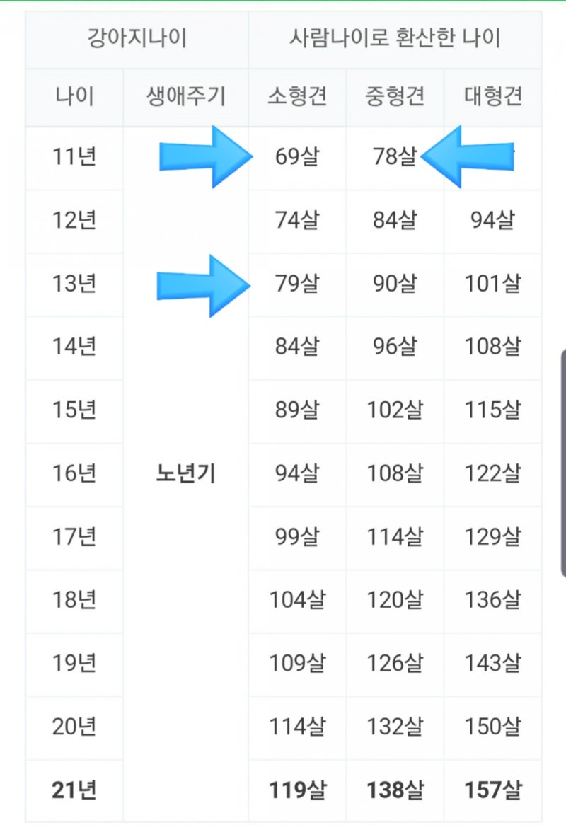 내 강아지 나이 계산해보기 : 네이버 블로그