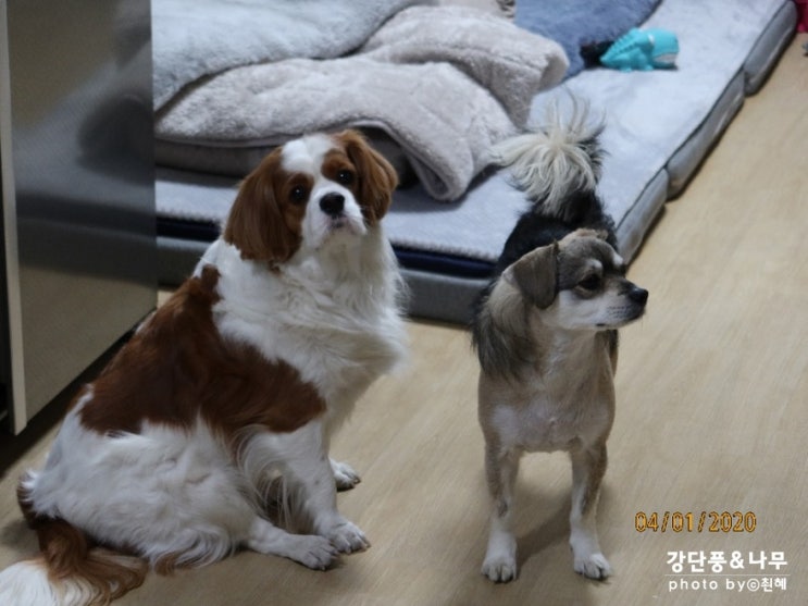  한달만에 돌아온 이유