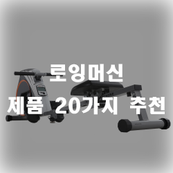  노를 젓는 동작을 그대로 본 딴 로잉머신 제품 추천리스트!!