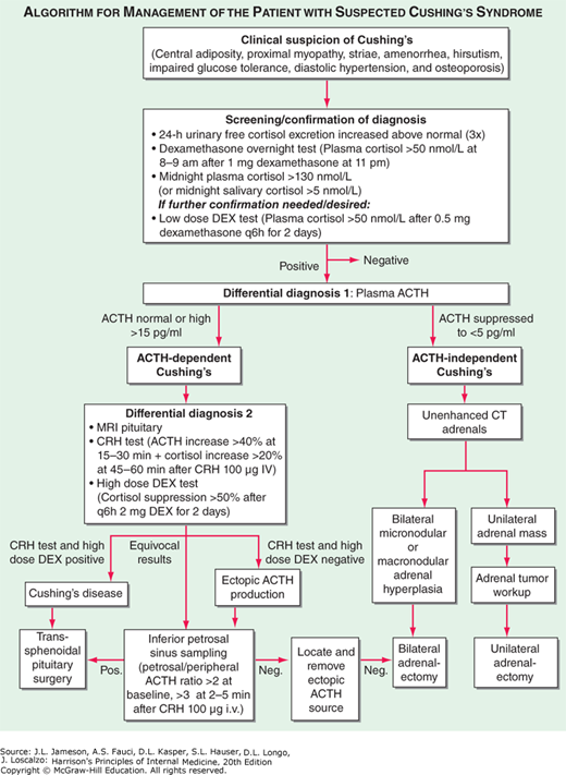 쿠싱증후군 진단 검사, Cushing syndrome, diagnosis and confirmation test : 네이버 블로그