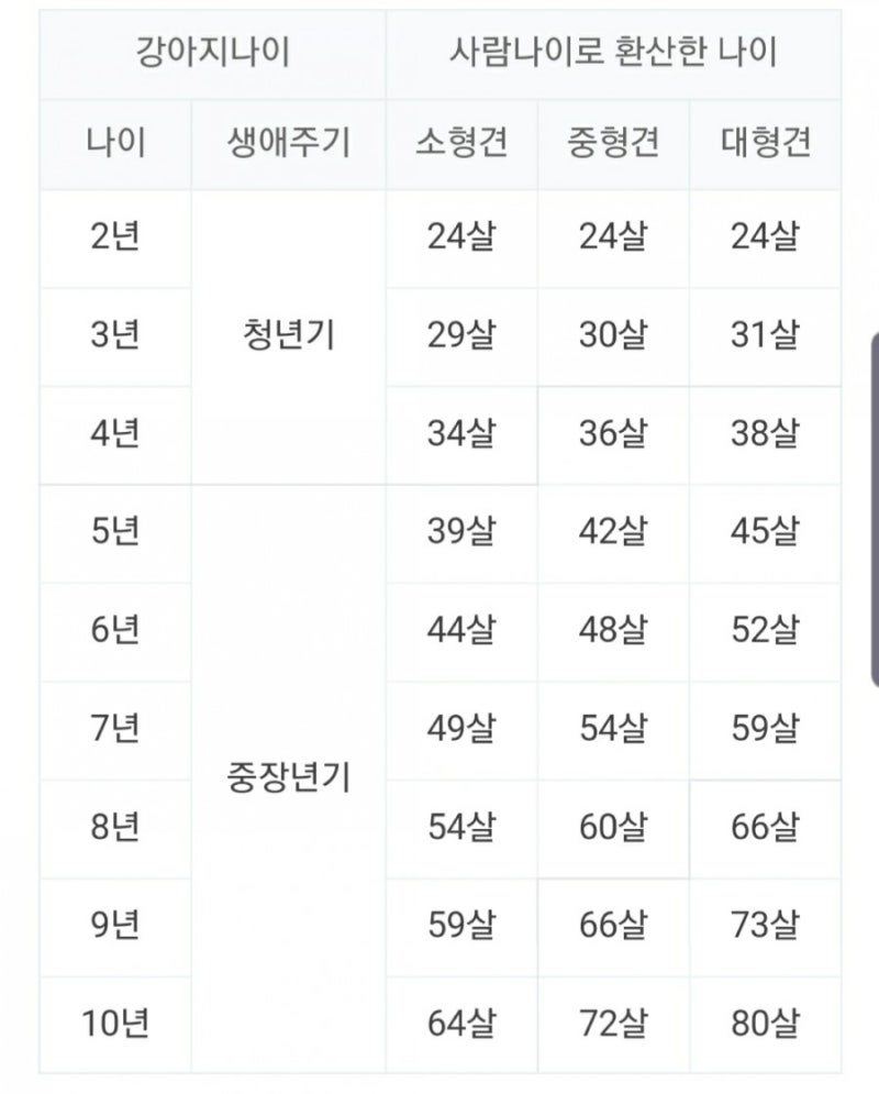 내 강아지 나이 계산해보기 : 네이버 블로그