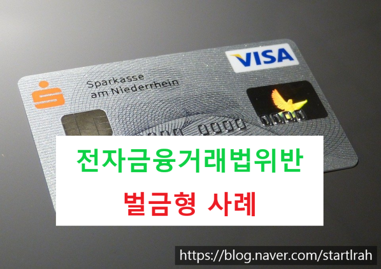  전자금융거래법위반 벌금형 사례