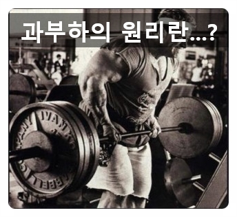  (인계동헬스장) 웨이트트레이닝시 가장 중요한 과부하의 원리란 무엇일까요?