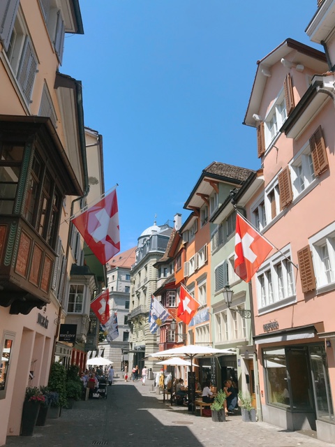 [스위스/취리히여행] 여름 스위스 #1, 취리히 당일치기! : Vlog/취리히중앙역코인락커/스타벅스/린덴호프전망대/그로스뮌스터대성당/취리히시내구경