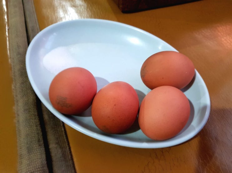  추운 날 제격인 막이 좋은 청주 불한증막