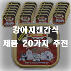  반려견의 입맛에 꼭 맞는 강아지캔간식 추천 모음~