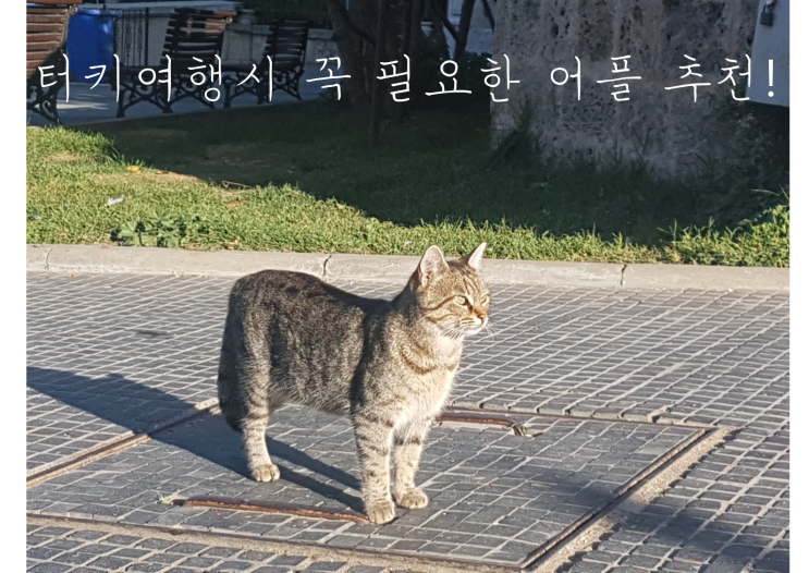  터키여행시 꼭 필요한 어플 추천!