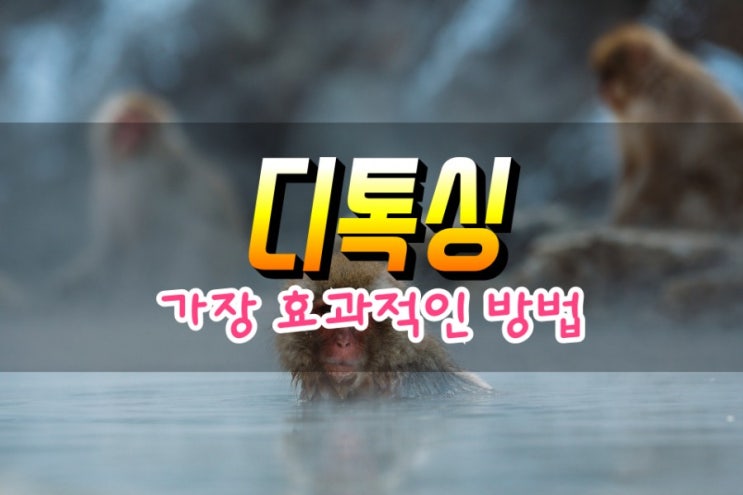  디톡싱을 위한 최고의 전략 소개