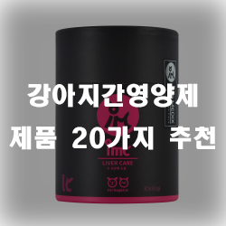  사랑하는 반려견 간 영양제로 건강을 챙겨주세요