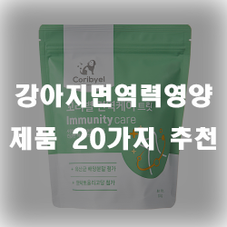  강아지 면역력 증가를 시켜주세요! 건강의 필수