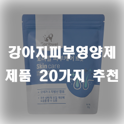  강아지의 피부를 더 아름답고 건강하게 만들어주는 강아지피부영양제 제품 추천!
