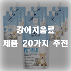  균형잡힌 영양을 원하신다면 강아지음료를 선택해보세요!