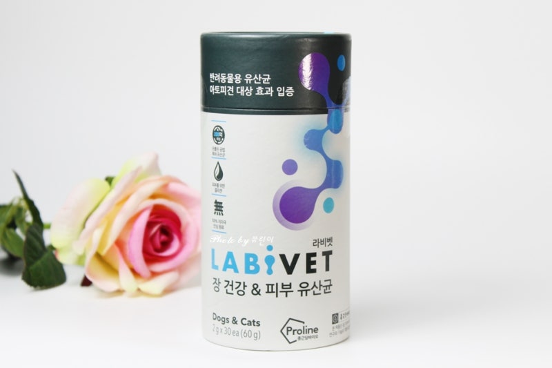 [강아지유산균] 종근당 라비벳 유산균 후기