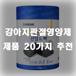  골격과 관절유지에 큰 도움을 주는 강아지관절영양제