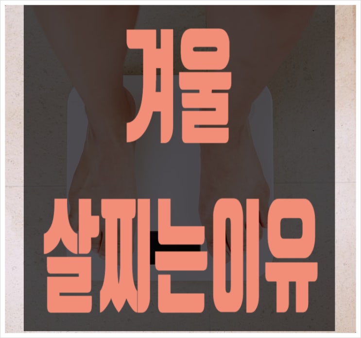  겨울살찌는이유 겨울철다이어트 식단조절!