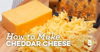 남자는 치즈를 먹으면 정력이 좋아짐.