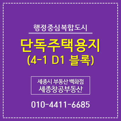 세종시 이주자택지, 4-1생활권 D1블록 현장 사진