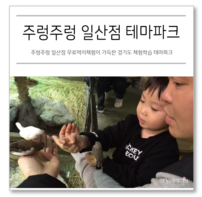  주렁주렁 일산점 무료먹이체험이 가득한 경기도 체험학습 테마파크