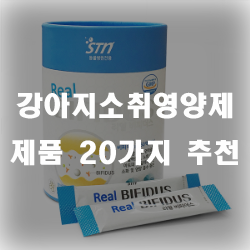  강아지 소취 영양제로 건강을 챙겨주세요~