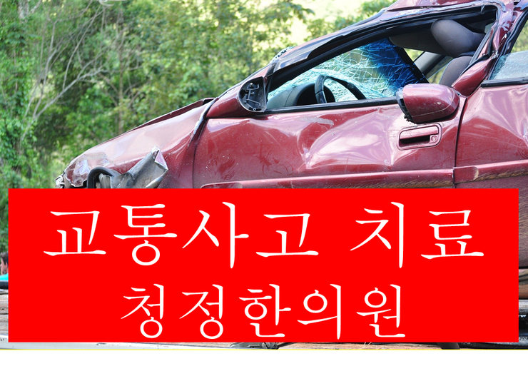 일산동교통사고 일산역교통사고 후곡교통사고한의원 후곡자동차보험으로 부담금없이 치료받으세요!!!