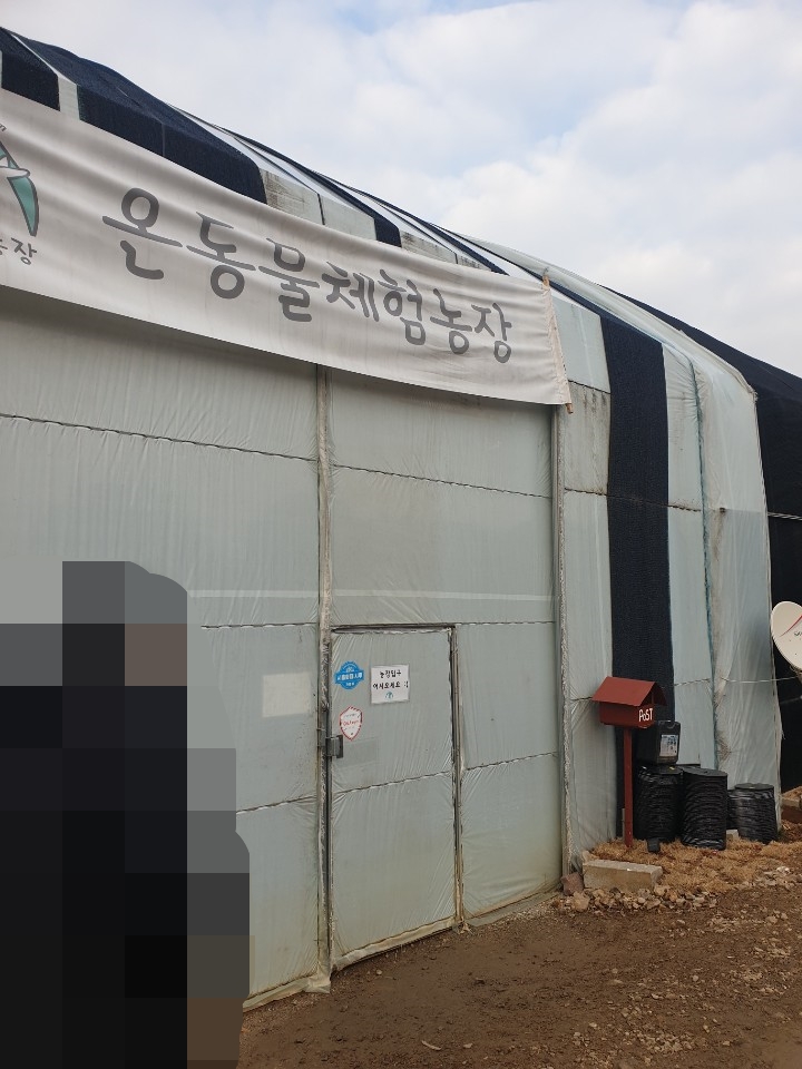 경기도 시흥 온동물체험농장 가족 나들이