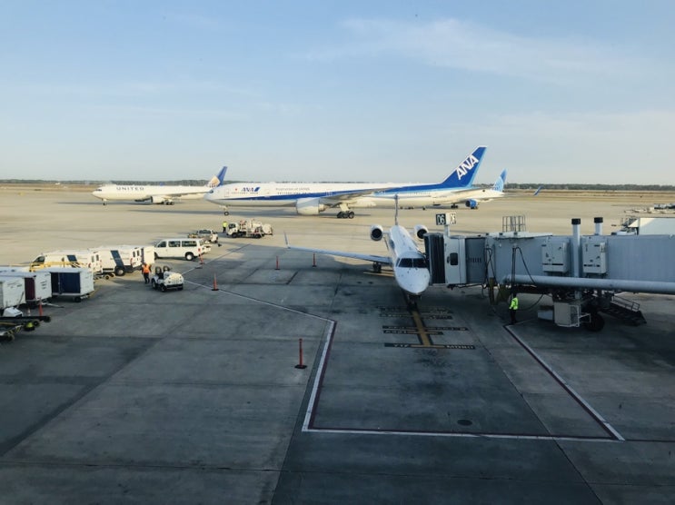  8. 전일본공수 NH173 IAH-NRT B777-300ER 탑승기