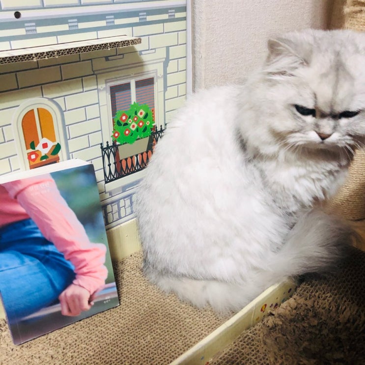  심신단련 _ 이슬아