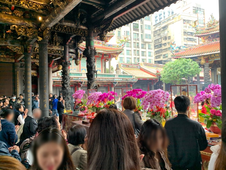 대만 용산사 소원 빌고 점괘 보기!