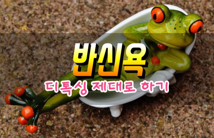  반신욕의 효과 알아보기 디톡싱 하는 최고의 조합 공개