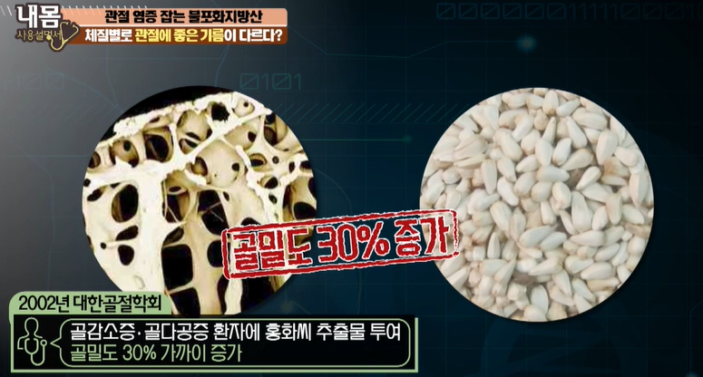 뼈에 좋은 약초, 홍화씨 효능 홍화씨 4