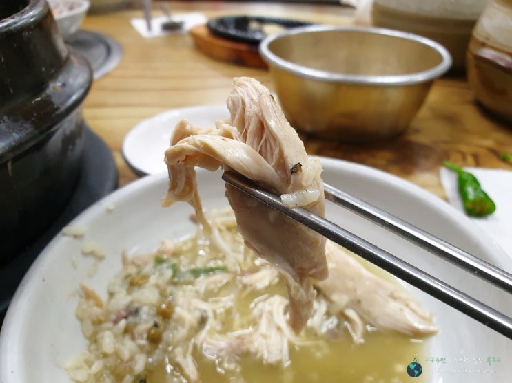  제주도 삼계탕 "수목원"에서 먹은 보양식 보말전복삼계탕