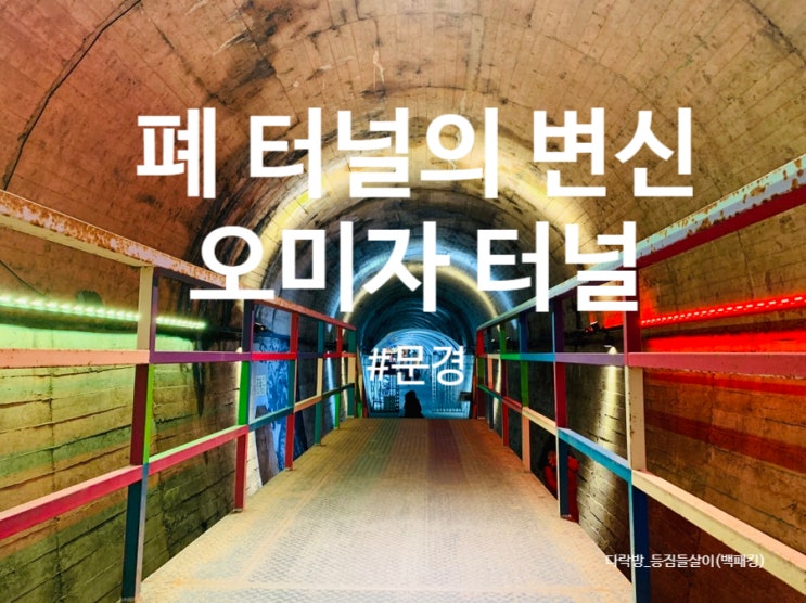  폐 터널의 변신 문경 오미자터널