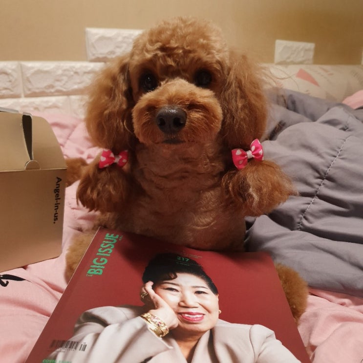  빅이슈 잡지로 노숙자분들 자립 돕기