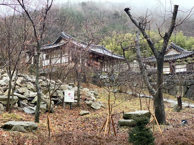  전주 아원고택!! 필수 여행 코스!!