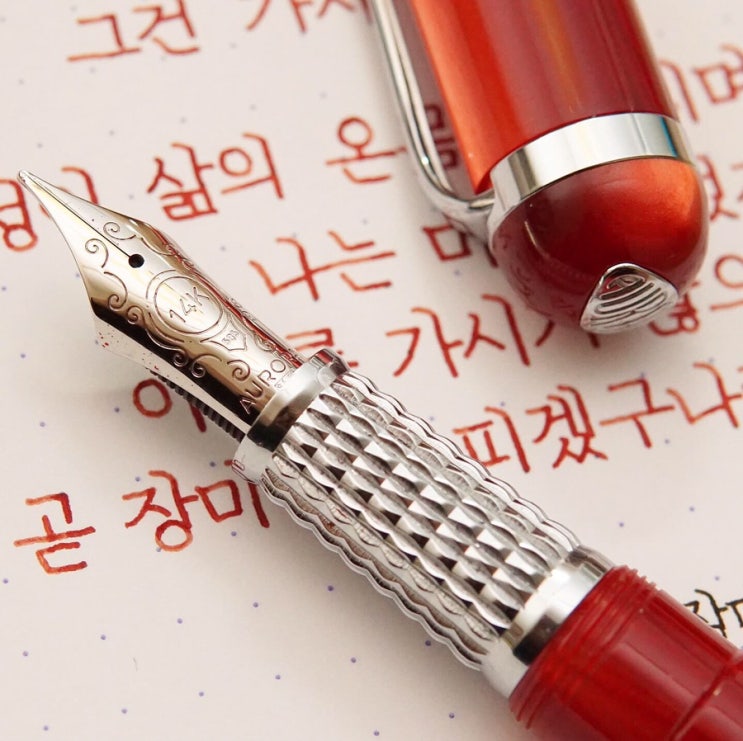  장미와 가시 (오로라 알파 레드 m닙)