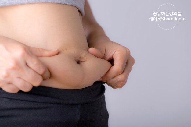  체지방 감소 다이어트에는 콜레우스포스콜리! 효능이 뭐길래? 제품도 추천해드려요.