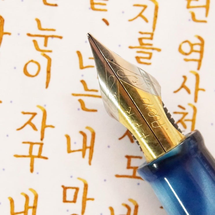  잃어버린 역사처럼 (FPR 히말라야 울트라플렉스)