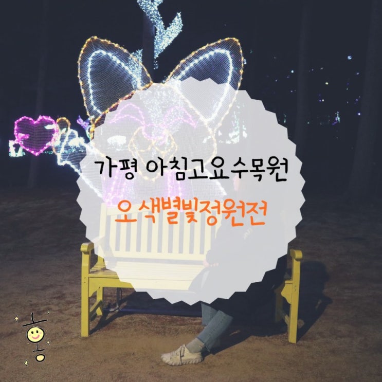 「경기도, 가평」 아침고요수목원 오색별빛정원전 관람 「경기도, 가평」 아침고요수목원 오색별빛정원전 관람