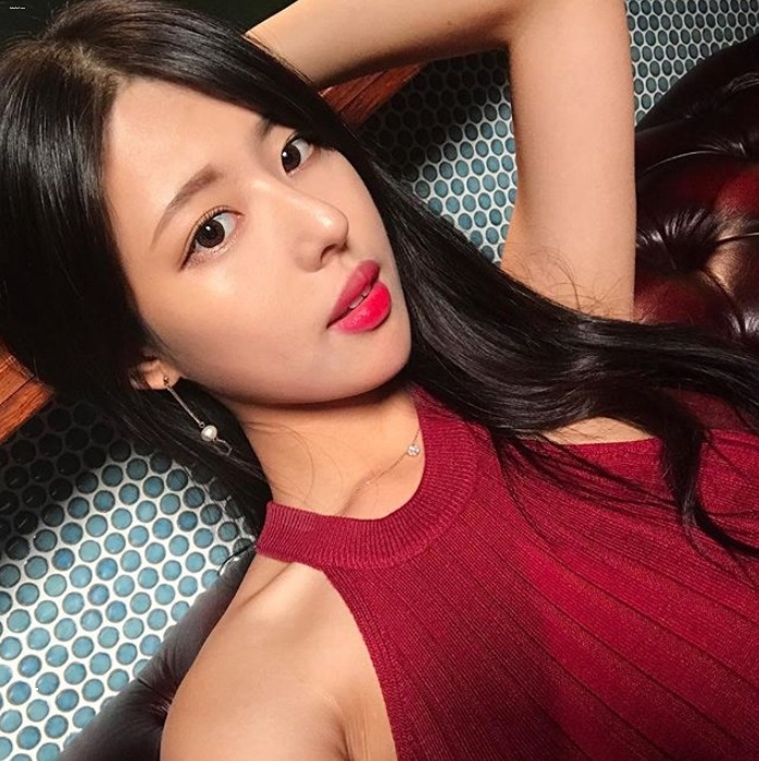  로투스홀짝 초보자 분석 노하우