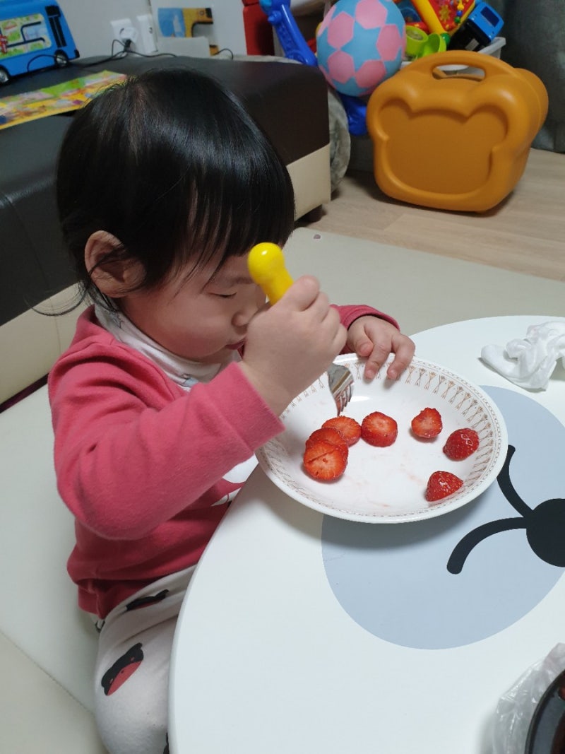 (육아일정) 631~636일차 나니기록 : 20개월 아기 메가맥타일즈 1개월 복습 (자석블록 놀이) 1