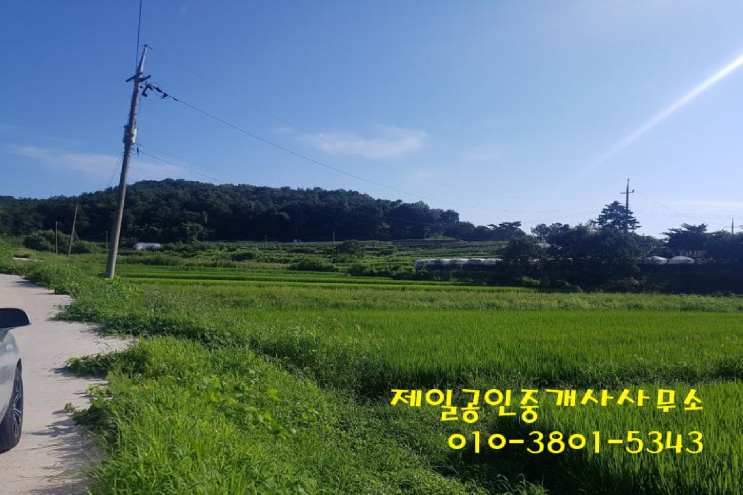 송산 그린 시티 인근 화성 토지 천등산 임야 매매 송산 그린 시티 인근 화성 토지 천등산 임야 매매
